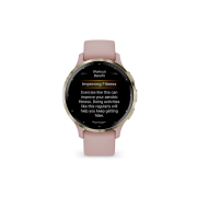 GARMIN VENU 3S, Dust Rose/Soft Gold