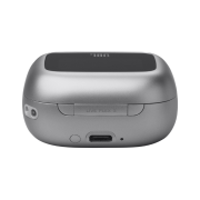 JBL Live Flex Grey